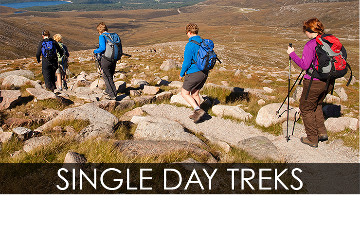 single-day