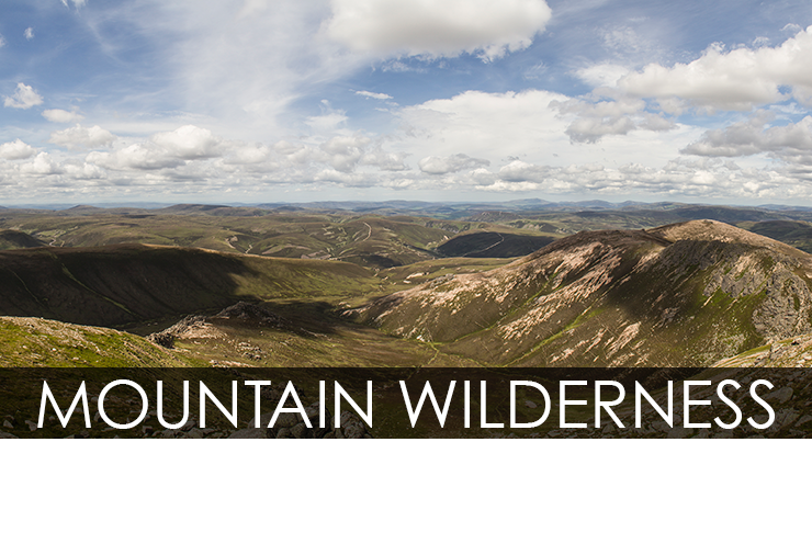 wilderness
